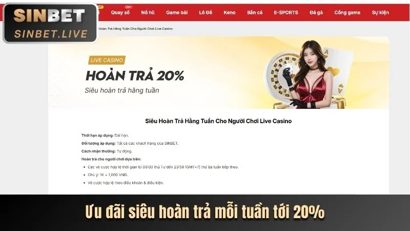 Sự kiện và giải đấu đặc biệt jn88